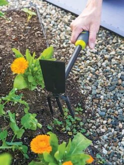 Gardener's 2-in-1 Short Handle Hoe And Cultivator -Garden Tools Shop 8608657 19474 tif