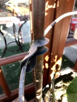 Garden Cane Connects, Set Of 6 6 Garden Cane Connects, Set Of 6 -Garden Tools Shop 8609019 03V tif