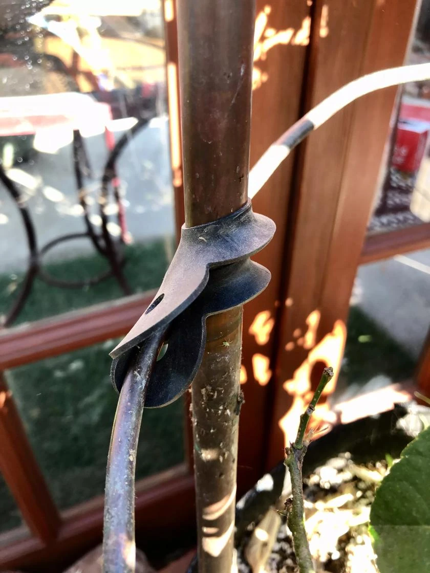 Garden Cane Connects, Set Of 6 3 Garden Cane Connects, Set Of 6 - Image 3