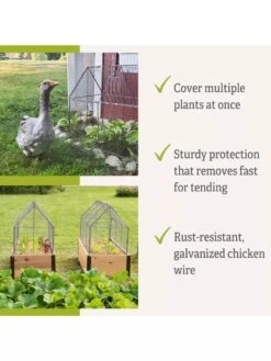 Chicken Wire Crop Coop -Garden Tools Shop 8609080 2