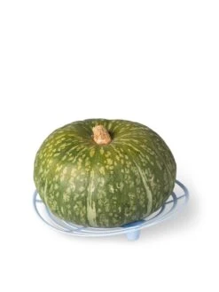 Melon And Squash Cradles, Set Of 6 6 Melon And Squash Cradles, Set Of 6 -Garden Tools Shop 8609464 5204 tif