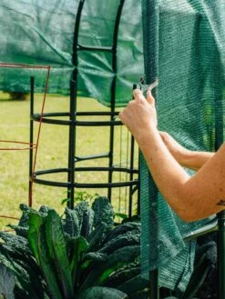 Maxi Garden Hoops With Clips -Garden Tools Shop 8610372 368 tif