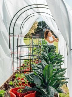 Maxi Garden Hoops With Clips -Garden Tools Shop 8610373 377 tif