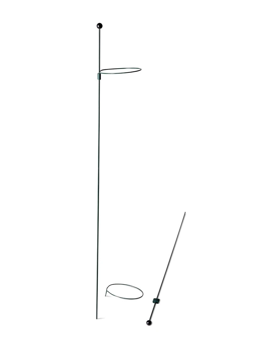 Peacock Mini Plant Support Rings 4", Set Of 2 5 Peacock Mini Plant Support Rings 4", Set Of 2 - Image 5