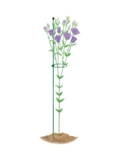 Peacock Mini Plant Support Rings 4", Set Of 2 10 Peacock Mini Plant Support Rings 4", Set Of 2 -Garden Tools Shop 8610386 peacock4x36