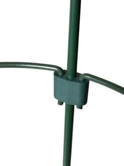 Peacock Mini Plant Support Rings 4", Set Of 2 15 Peacock Mini Plant Support Rings 4", Set Of 2 -Garden Tools Shop 8610387 9577