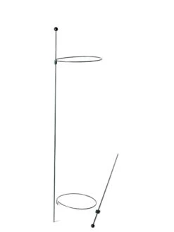 Peacock Mini Plant Support Rings 8", Set Of 2 -Garden Tools Shop 8610388 9565 tif