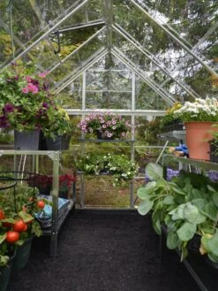 Canopia® By Palram Harmony™ Greenhouse, 6' X 14' -Garden Tools Shop 8610563 03V jpg