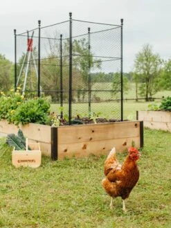 Tall Chicken Wire Critter Fence With Gate -Garden Tools Shop 8611020 316 tif