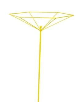 Parasol Plant Supports, Set Of 3 14 Parasol Plant Supports, Set Of 3 -Garden Tools Shop 8611129 3844 tif