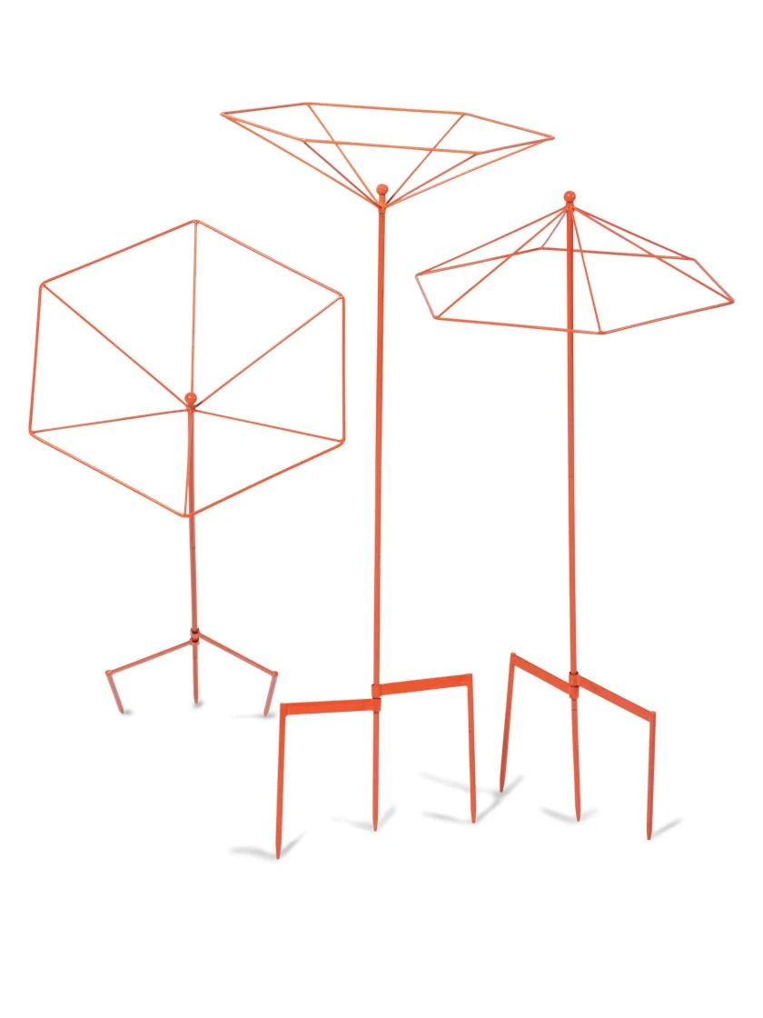 Parasol Plant Supports, Set Of 3 8 Parasol Plant Supports, Set Of 3 - Image 8