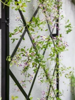 Lattice Gable Wall Trellis -Garden Tools Shop 8611130 011