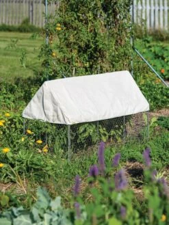Crop Coop Covers Set 6 Crop Coop Covers Set -Garden Tools Shop 8611698 004 tif