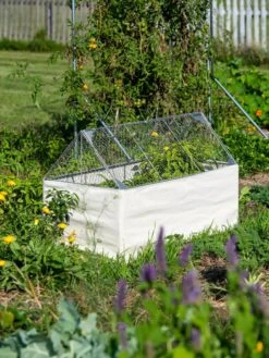 Crop Coop Covers Set 7 Crop Coop Covers Set -Garden Tools Shop 8611698 005 tif