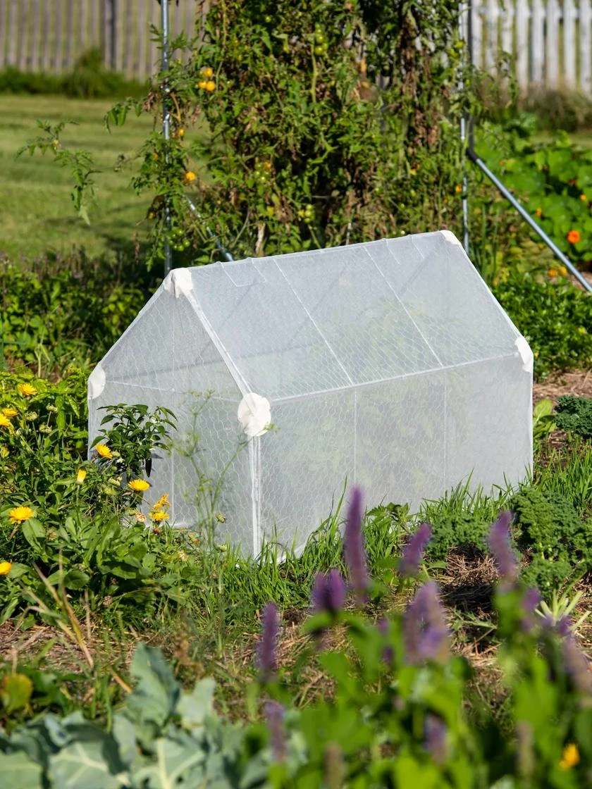 Crop Coop Covers Set 2 Crop Coop Covers Set - Image 2