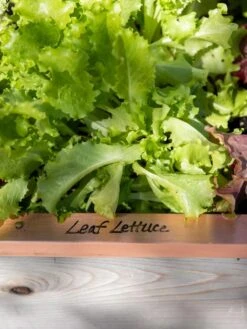 Re-Markable Raised Bed Trim -Garden Tools Shop 8611757 326 tif