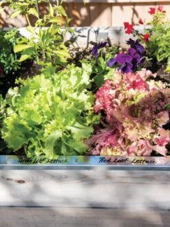 Re-Markable Raised Bed Trim -Garden Tools Shop 8611758 306 tif