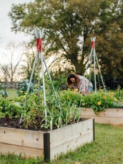 DIY Connector For Teepee Trellis -Garden Tools Shop 8611896 38 tif