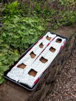 Berry Blend Coir Grow Bag, Set Of 2 6 Berry Blend Coir Grow Bag, Set Of 2 -Garden Tools Shop 8611968 361 tif