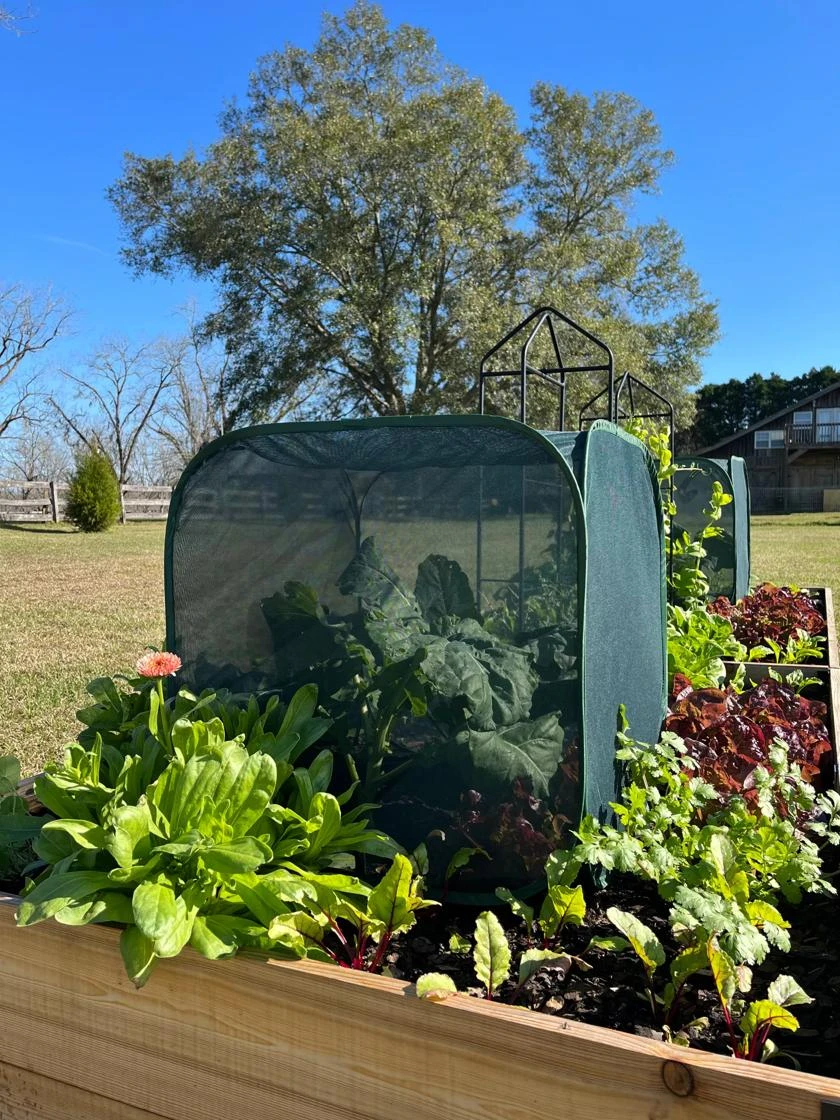 Pest Control Pop-Ups 1 Pest Control Pop-Ups