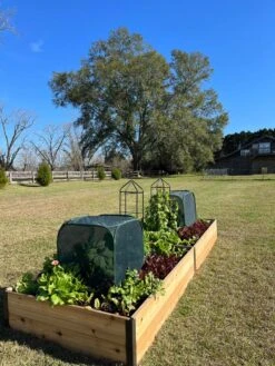 Pest Control Pop-Ups 12 Pest Control Pop-Ups -Garden Tools Shop 8611989 08 tif