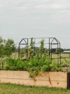 Garden Tools Shop -Garden Tools Shop 8612035 549 tif