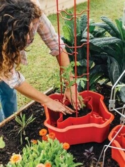 Deluxe Tomato Halos, Set Of 2 -Garden Tools Shop 8612045 135 tif