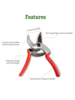 Castellari Mini Anvil Pruner 10 Castellari Mini Anvil Pruner -Garden Tools Shop 8612199 5