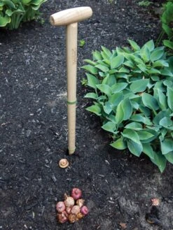 Wicked Big Dibber 8 Wicked Big Dibber -Garden Tools Shop 8612667 0028