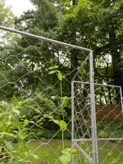 Chicken Wire Pea Trellis -Garden Tools Shop 8612718 7302