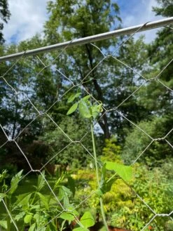 Chicken Wire Pea Trellis -Garden Tools Shop 8612718 7311