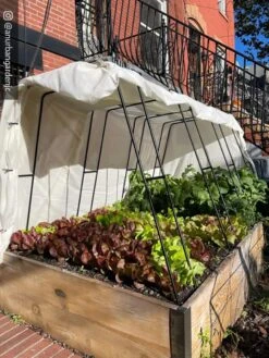 Zenith Garden Hoops, Set Of 4 13 Zenith Garden Hoops, Set Of 4 -Garden Tools Shop 8612816 01CUST 1