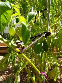 Farmyarn® Multipurpose Garden Tie, 2 Pack 14 Farmyarn® Multipurpose Garden Tie, 2 Pack -Garden Tools Shop 8612948 02v