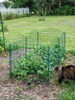 6 Panel Critter Fence With Gate -Garden Tools Shop 8612967 2570 tif