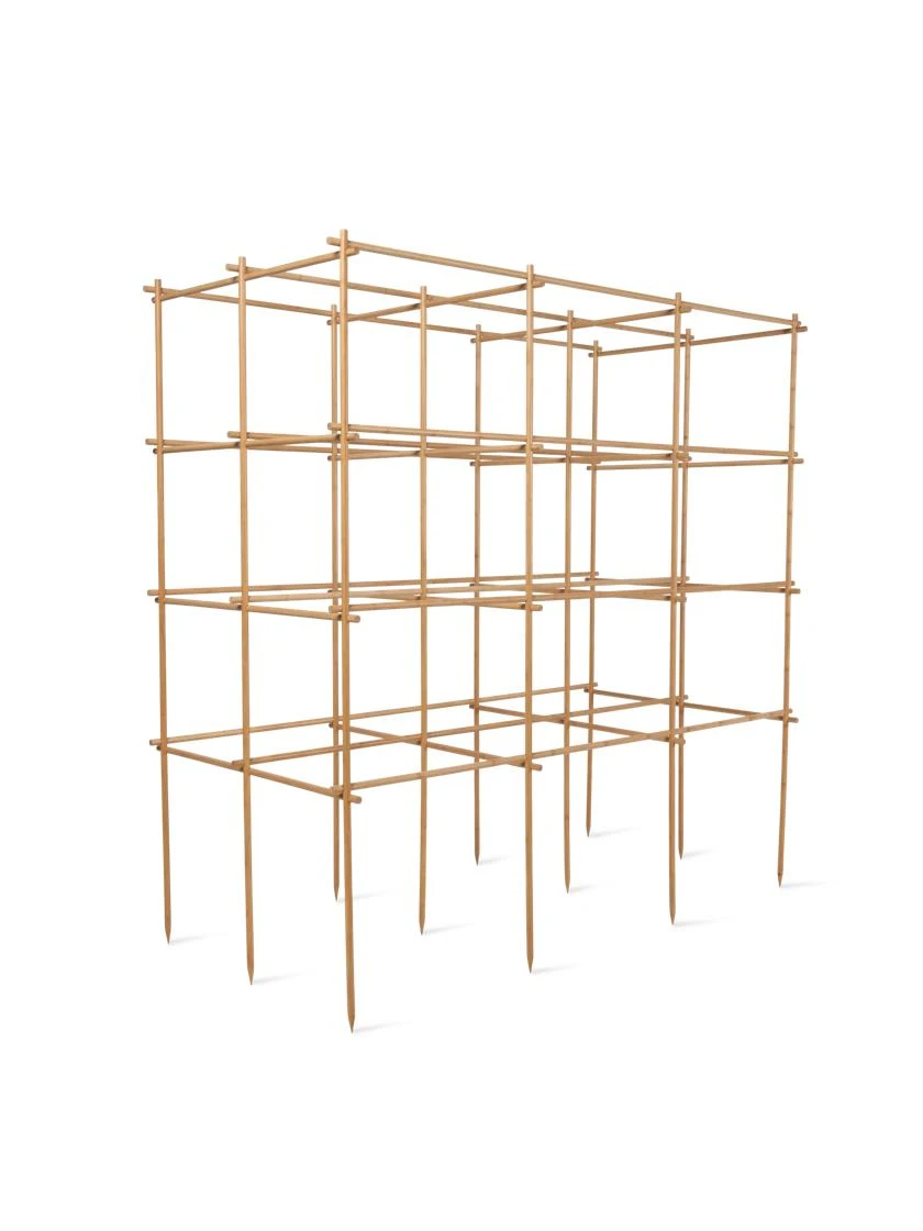 Tomato Six Pack Support 5 Tomato Six Pack Support - Image 5