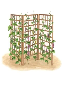 Bamboo Zig-Zag Trellis 24" X 36" -Garden Tools Shop 8613151 art flat