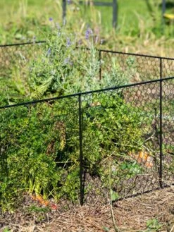 Chicken Wire Critter Fence, 16" High -Garden Tools Shop 8613249 0352
