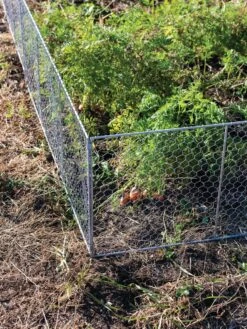Chicken Wire Critter Fence, 16" High -Garden Tools Shop 8613249 0358