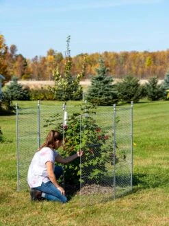 Tall Chicken Wire Critter Fence With Gate -Garden Tools Shop 8613260 0044