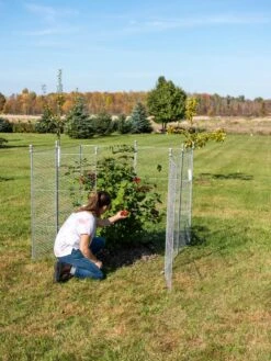 Tall Chicken Wire Critter Fence Extension Panel, Set Of 2 18 Tall Chicken Wire Critter Fence Extension Panel, Set Of 2 -Garden Tools Shop 8613260 0090