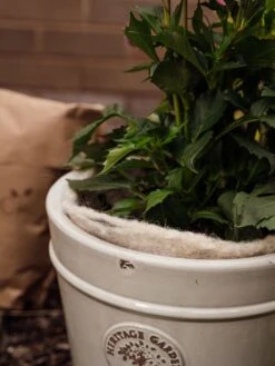 Hortiwool ®, 5 Pad Pack 14 Hortiwool ®, 5 Pad Pack -Garden Tools Shop 8613263 17v