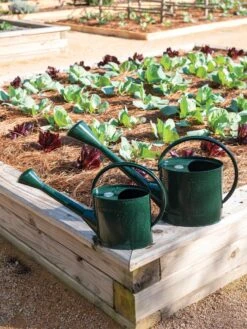 Long Reach Watering Can, Large -Garden Tools Shop 8613346 0148 1