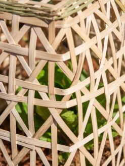 Bamboo Cloche, Set Of 2 17 Bamboo Cloche, Set Of 2 -Garden Tools Shop 8613351 0153