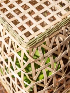 Bamboo Cloche, Set Of 2 16 Bamboo Cloche, Set Of 2 -Garden Tools Shop 8613351 0154