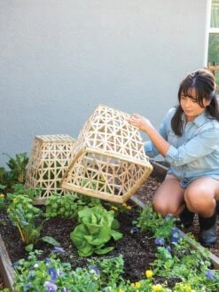 Bamboo Cloche, Set Of 2 13 Bamboo Cloche, Set Of 2 -Garden Tools Shop 8613351 6862