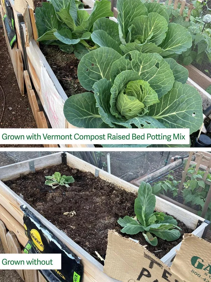 Organic Raised Bed Potting Mix, 20 Quart 2 Organic Raised Bed Potting Mix, 20 Quart - Image 2