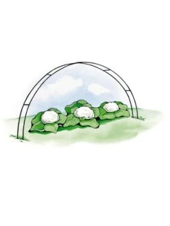 Super Hoops, Set Of 6 -Garden Tools Shop GS39423 02S 3 4